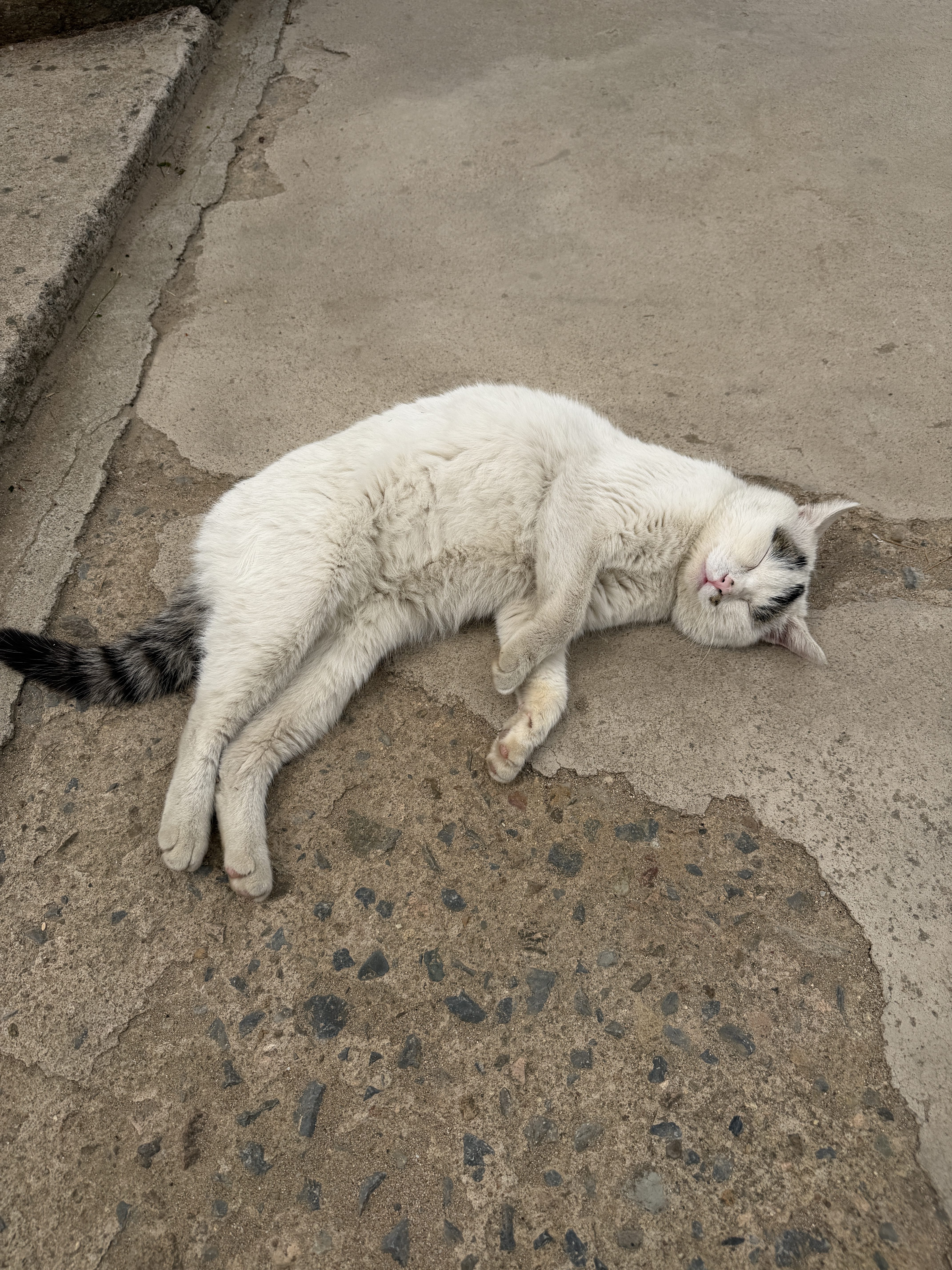 秦皇岛 - 太清宫和法华寺 - 第1张图片