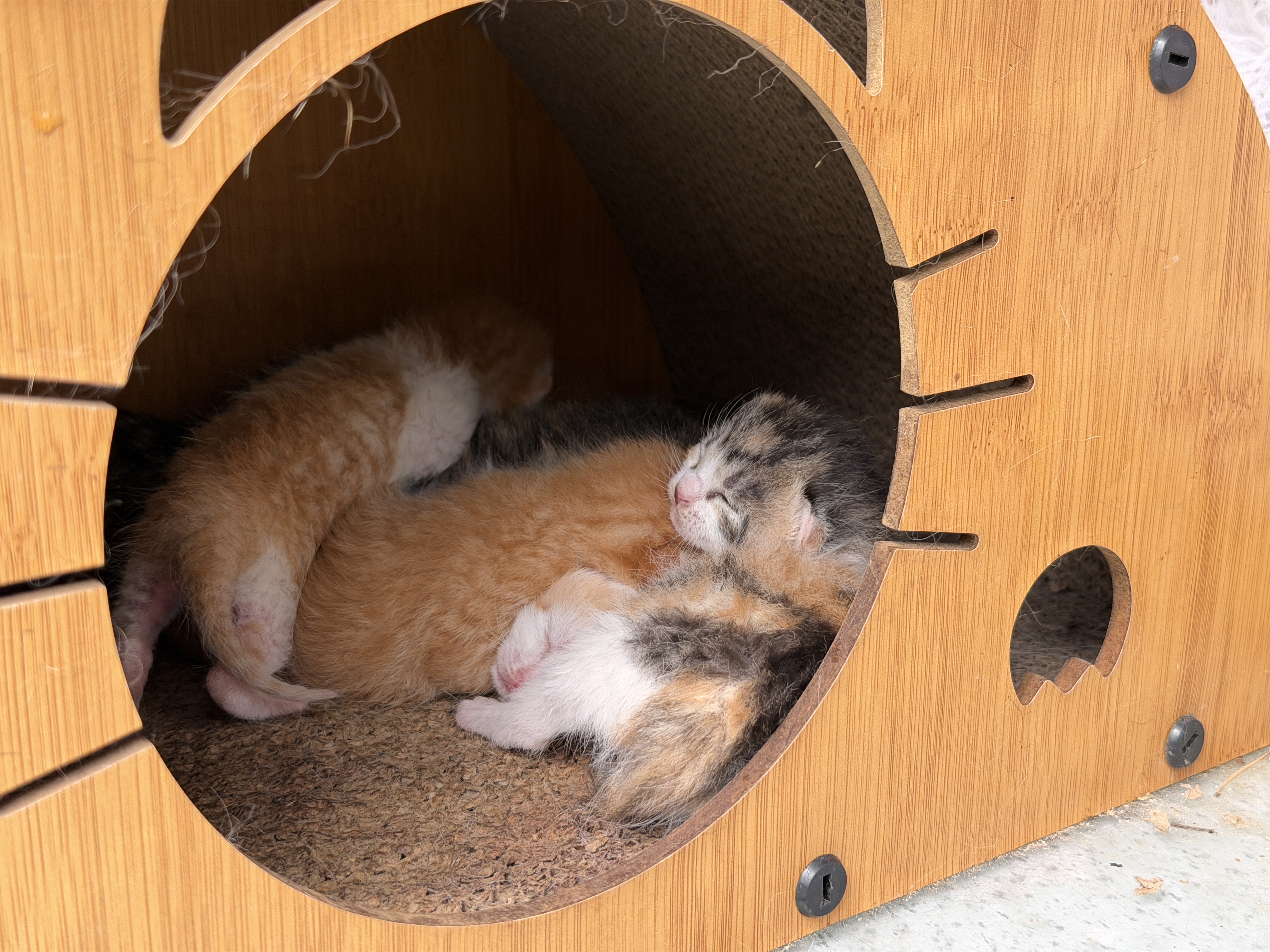 秦皇岛 - 太清宫和法华寺 - 第7张图片