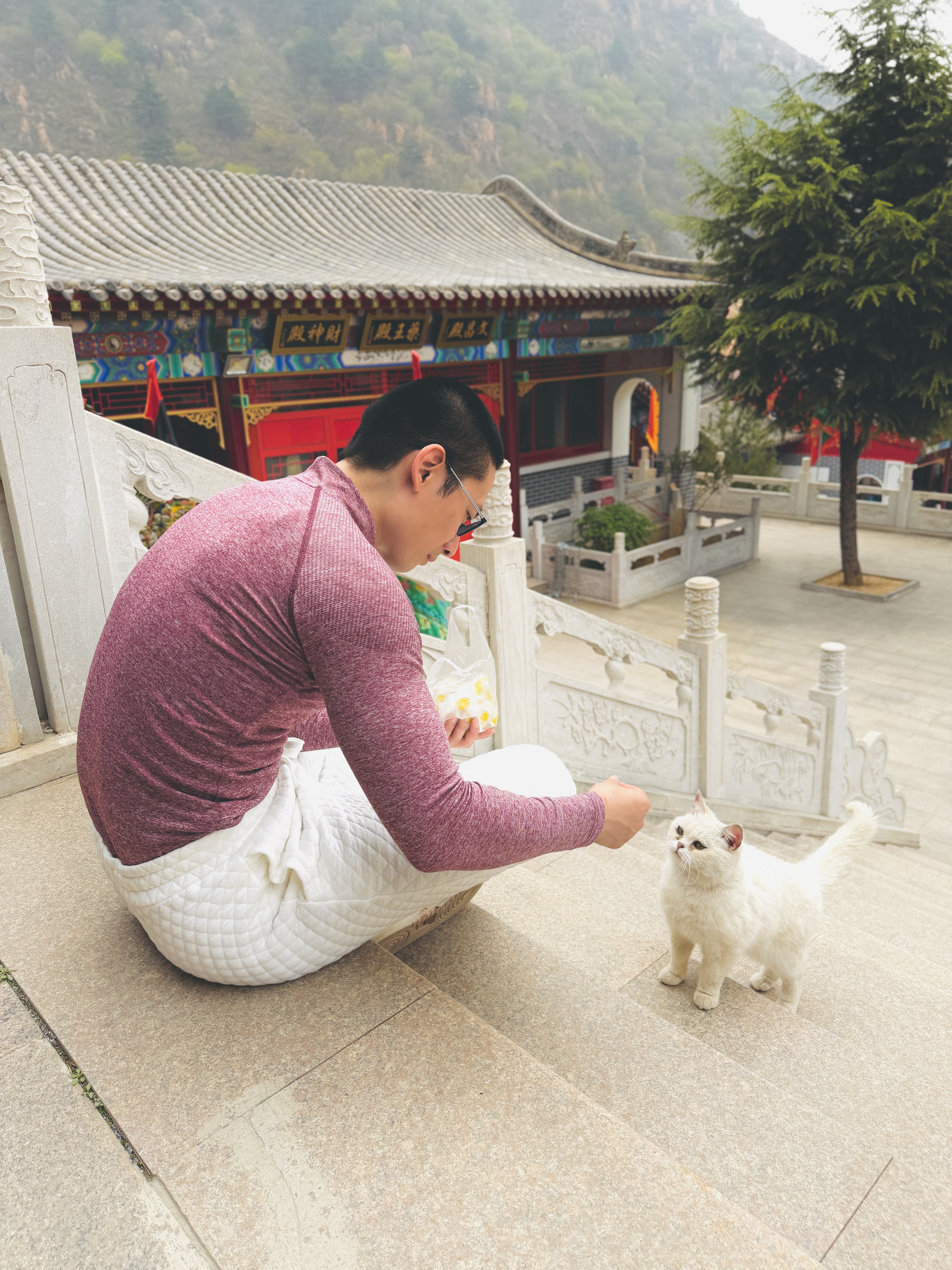 秦皇岛 - 太清宫和法华寺 - 第12张图片