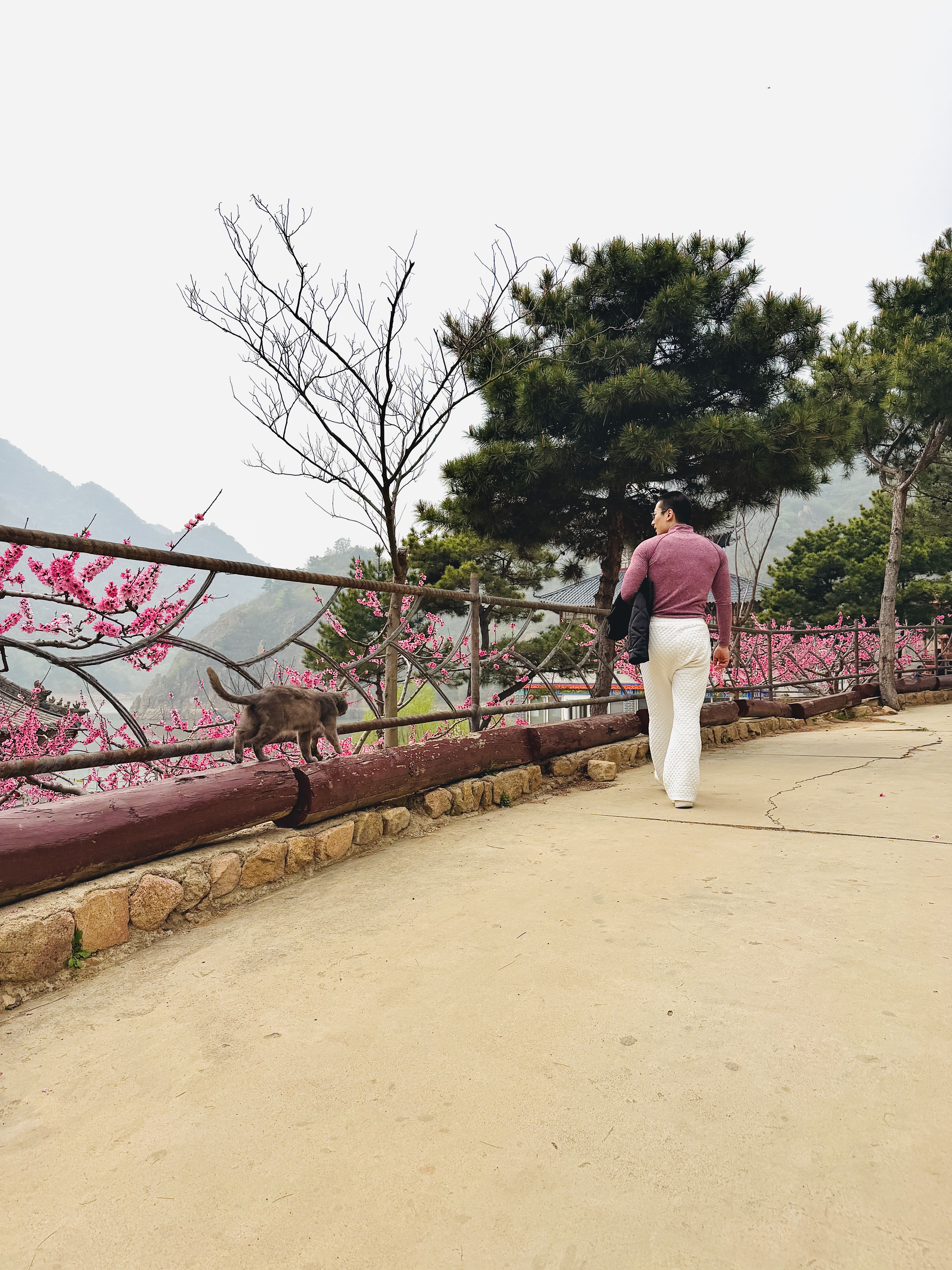 秦皇岛 - 太清宫和法华寺 - 第13张图片