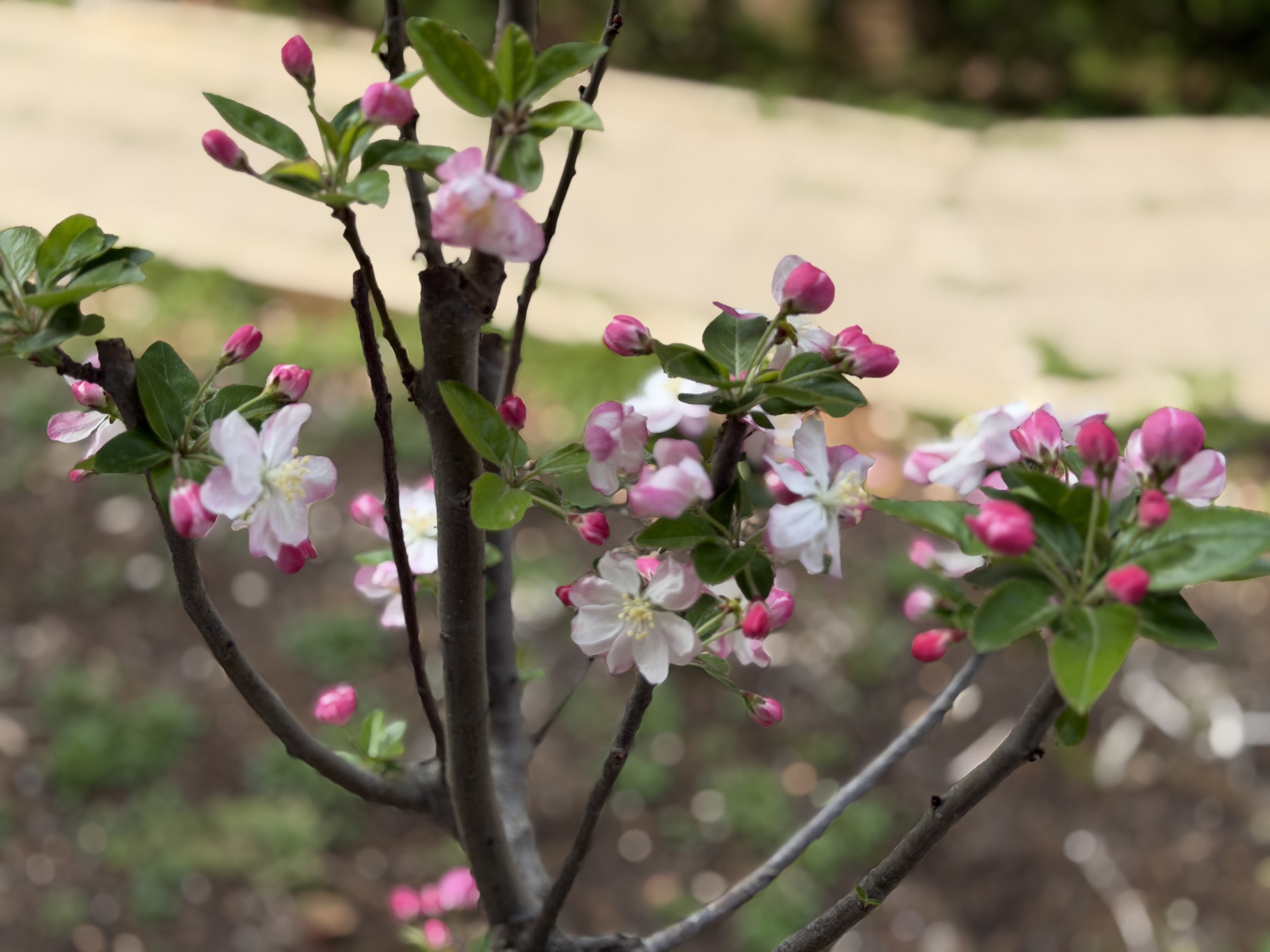 秦皇岛 - 太清宫和法华寺 - 第18张图片