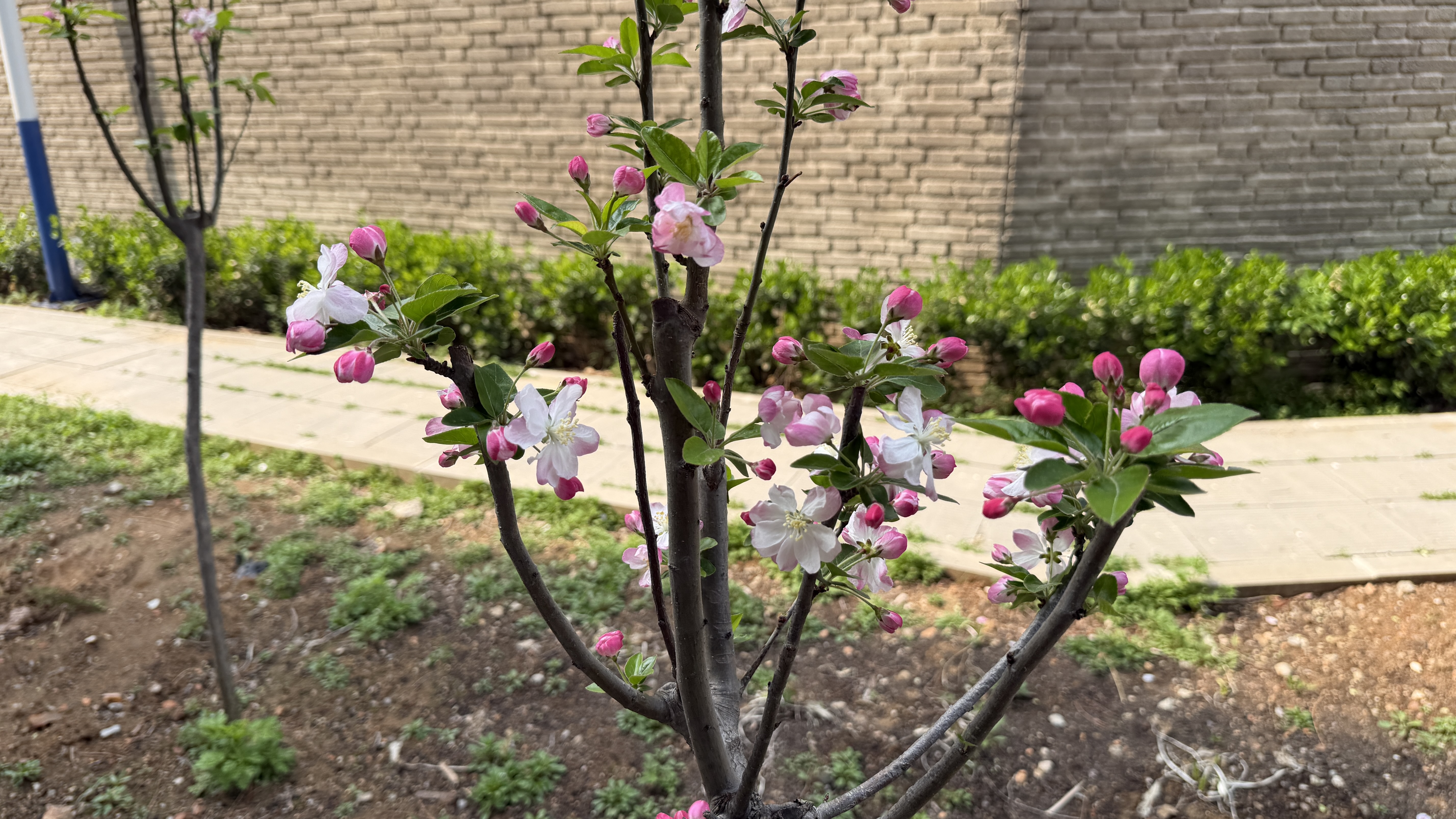 秦皇岛 - 太清宫和法华寺 - 第19张图片