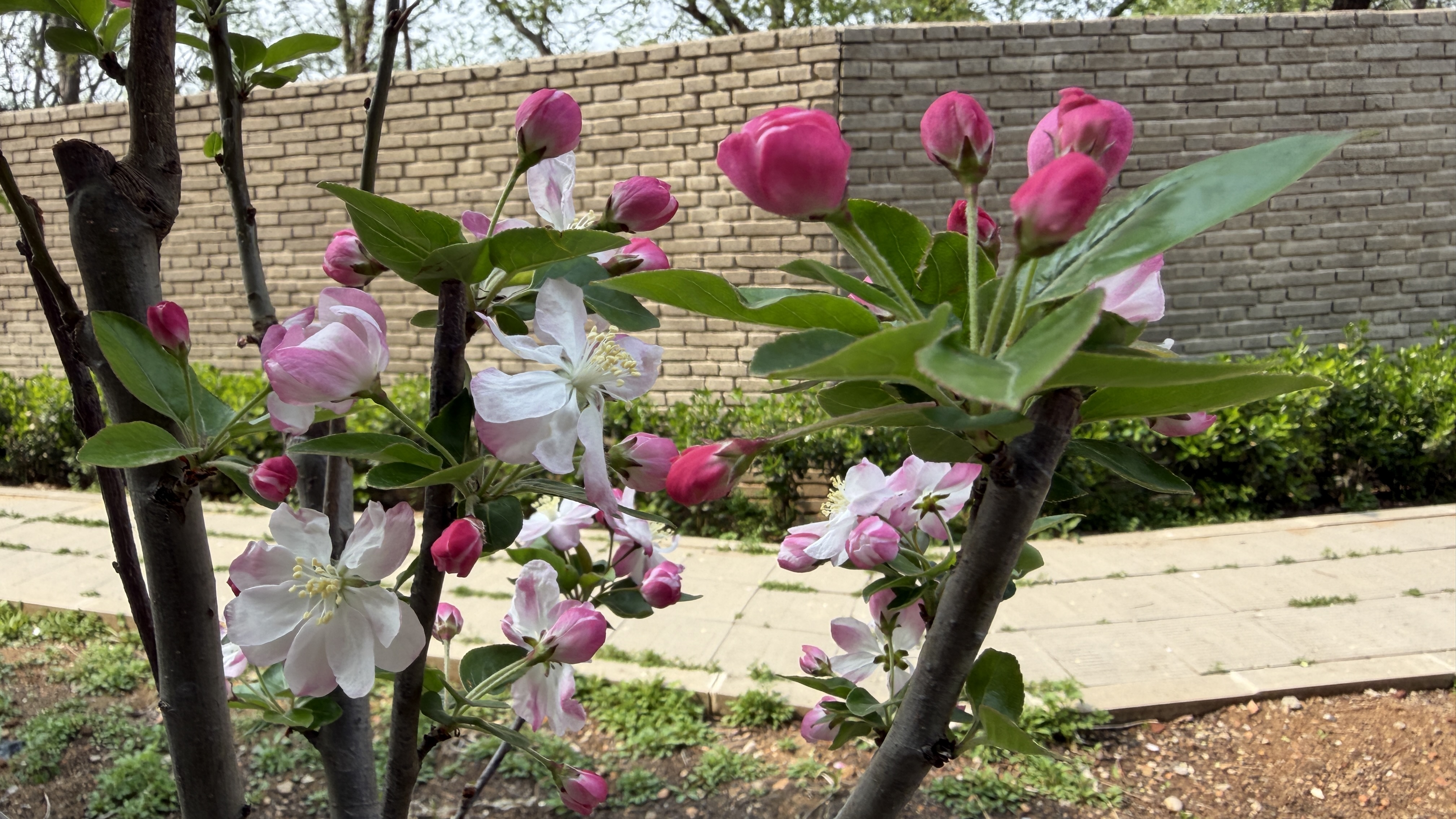 秦皇岛 - 太清宫和法华寺 - 第20张图片