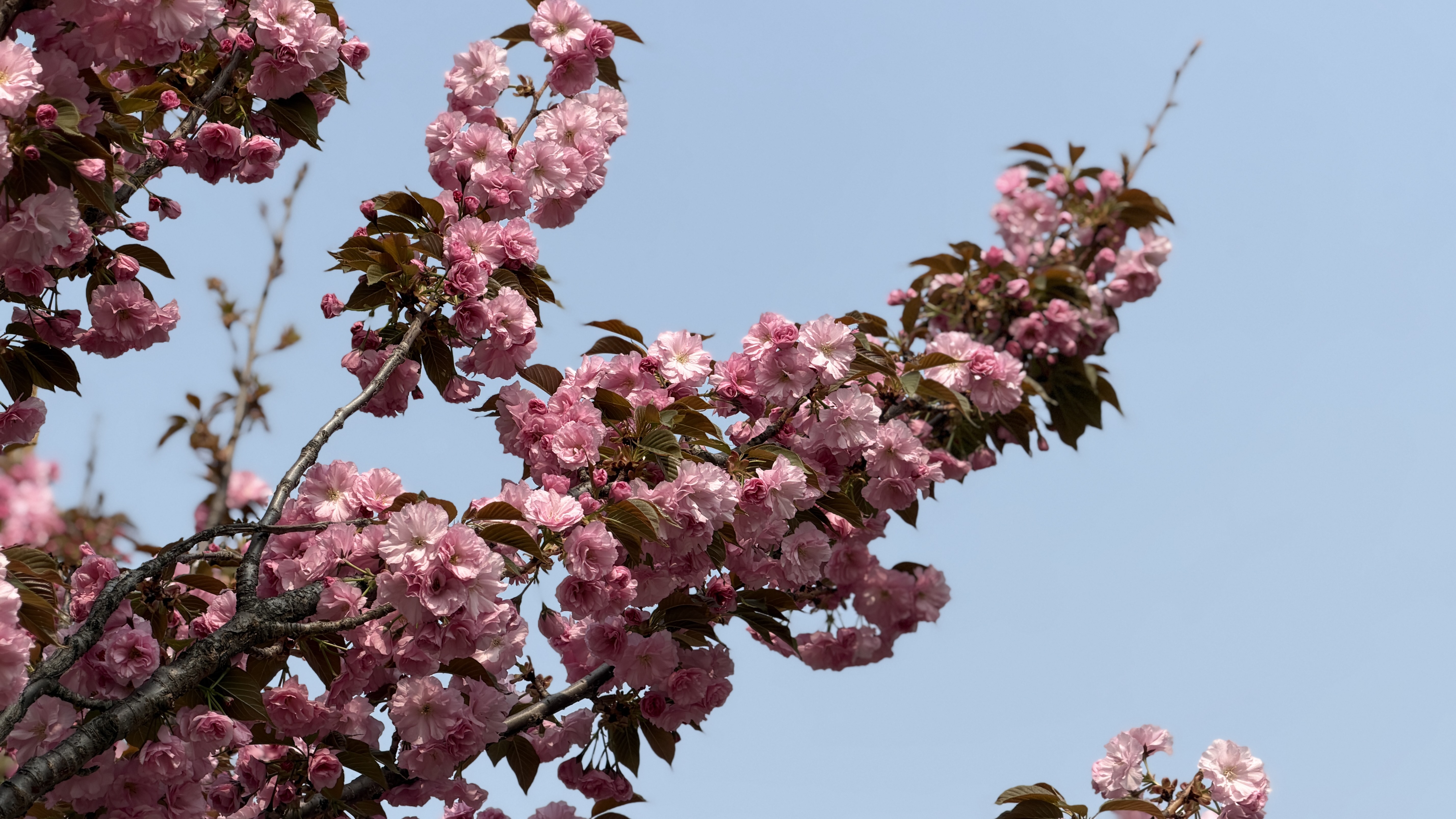 秦皇岛 - 太清宫和法华寺 - 第21张图片